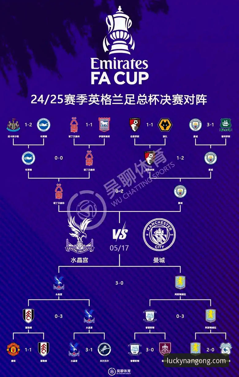 从狼队vs利物浦的足总杯激战，看南宫28平台获取实时赛事的实用指南
