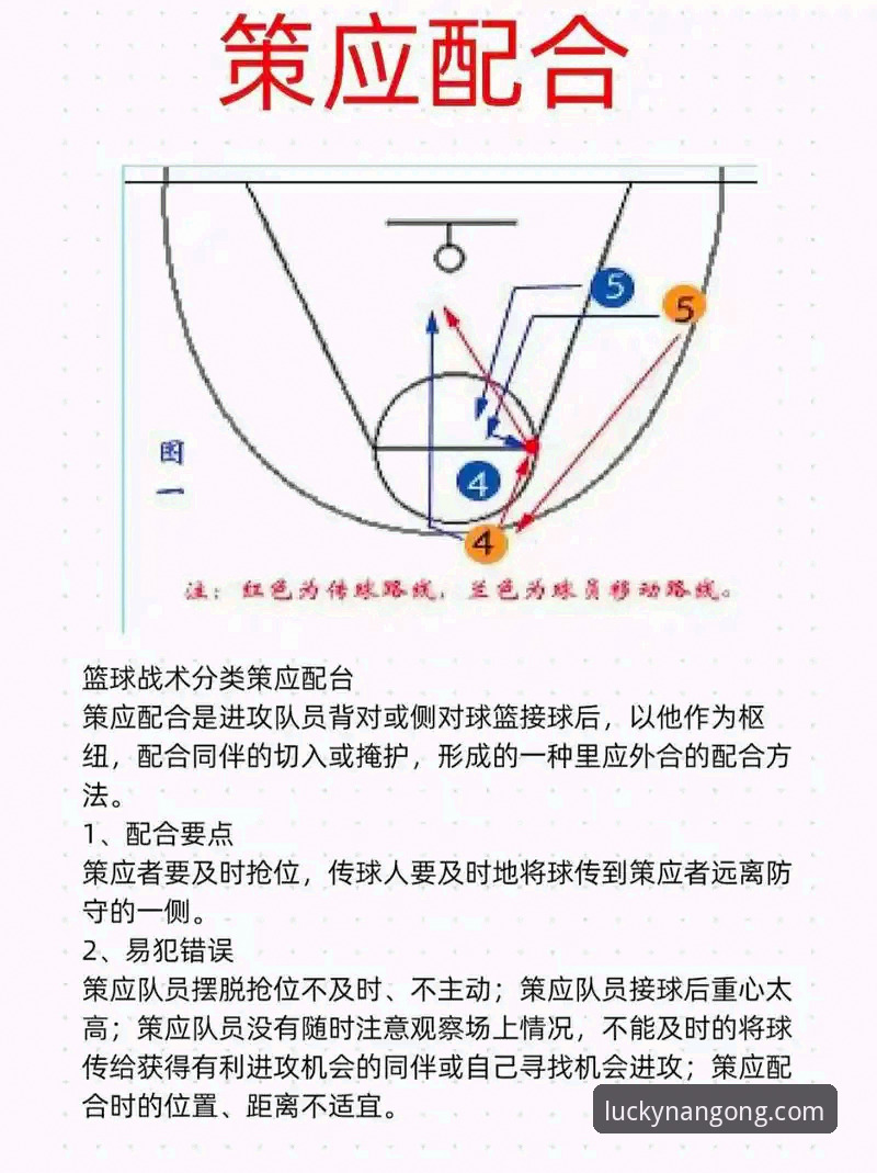 在南宫28平台深度解析NBA赛事：一场高得分对决的战术拆解指南